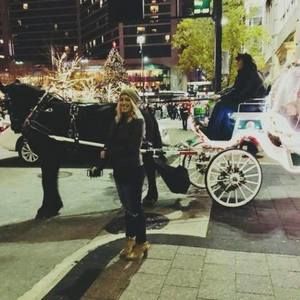 Meet your Posher, Brandi